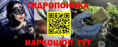 PSILOCYBIN Аргун